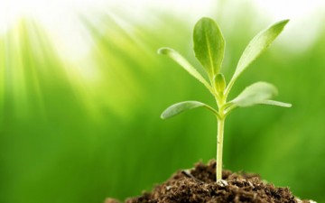 فكرة الآخرة وتأثيرها في السلوك